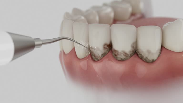 Reliable Dental contractor in New Waverly, TX by Dentist Open Now